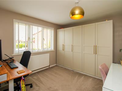 Picture 23